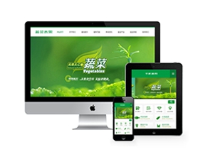 绿色蔬菜水果产品类网站